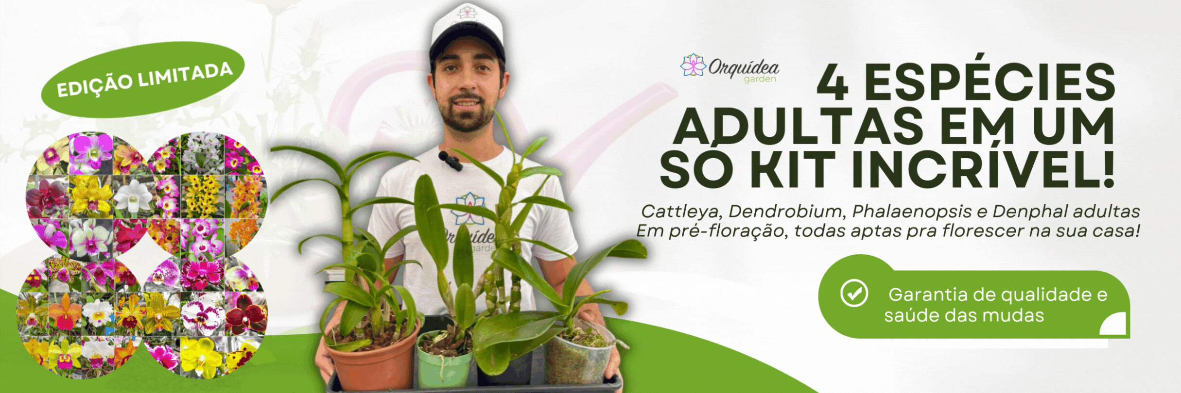 hailey's treasure adventure apk