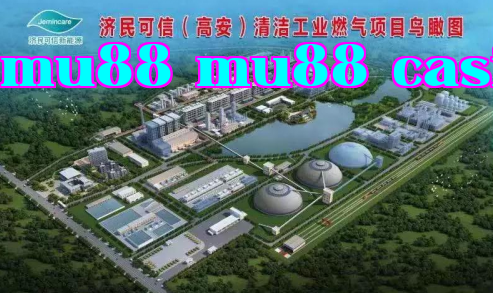 Dự án năng lượng sạch (Cao An) của Tập đoàn Ji Min Xin Xin